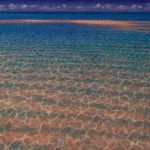 THE PAINTINGS OF RICK BENNETT AT EYE ON ART GALLERY: WHEN THE WATER IS JUST WET ENOUGH