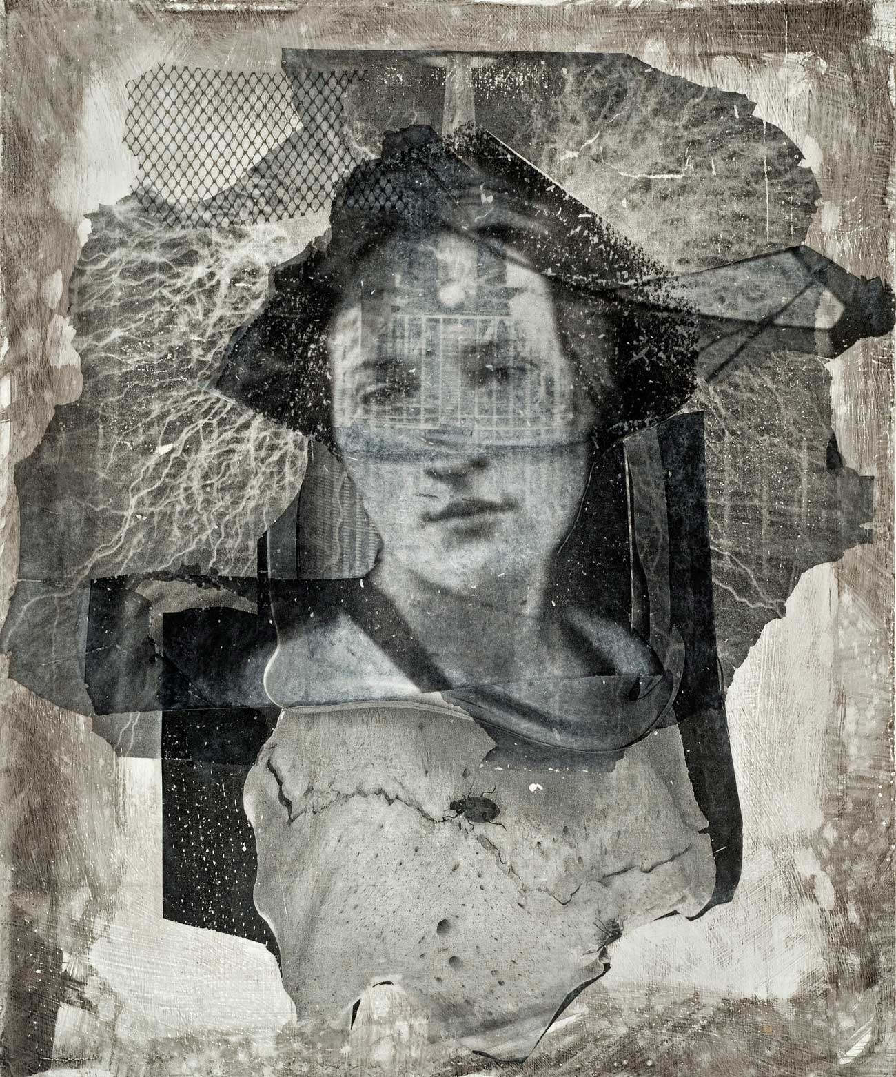 Muse-_-with-Testa-Coil-and-Bone,-transfer-collage-and-charcoal-on-board-by-Kathy-Prescott