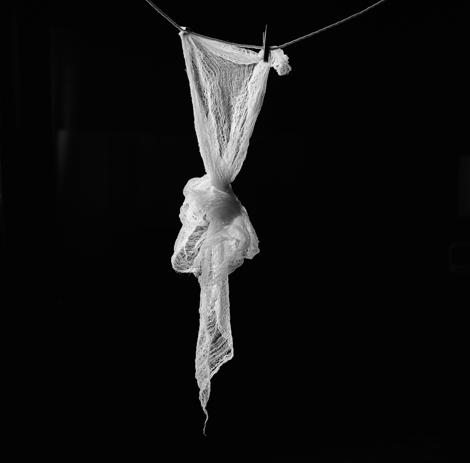 5 Michael_Wilson-Cheesecloth-2011