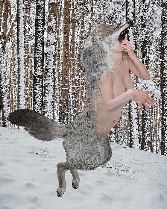 3) A_A OLDHAM Werewolf in Winter