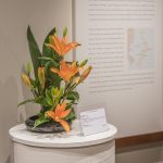 "Art in Bloom" at the Cincinnati Art Museum